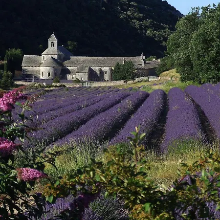 Les Cerises Bed and breakfast *