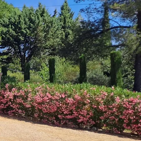Bed and breakfast Les Cerises *